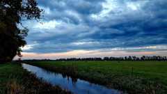 Linum morgens (1)