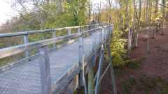 Baumwipfelpfad (4)