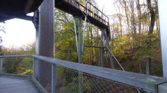 Baumwipfelpfad (3)