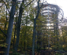 Baumwipfelpfad (5)