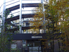 Baumwipfelpfad (2)