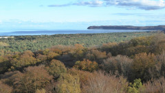 Ausblick  (3)