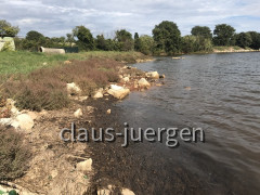 Lagune Pomer