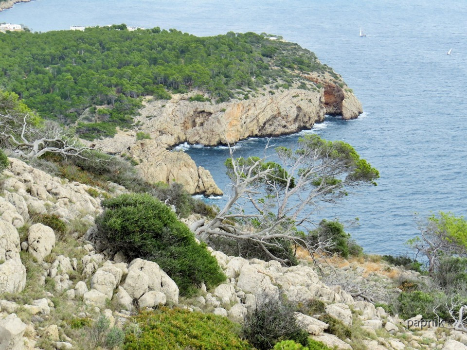 Bucht
