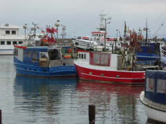 Sassnitz 1  (6)