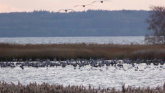 Bodden bei Spyker (7)
