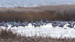 Bodden bei Spyker (9)