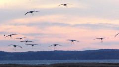 Bodden bei Spyker (6)