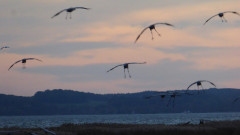 Bodden bei Spyker (5)