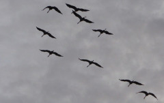 Bodden bei Spyker (2)