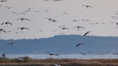 Bodden bei Spyker (4)