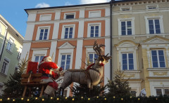Rosenheim Weihnachtsmarkt  (12)
