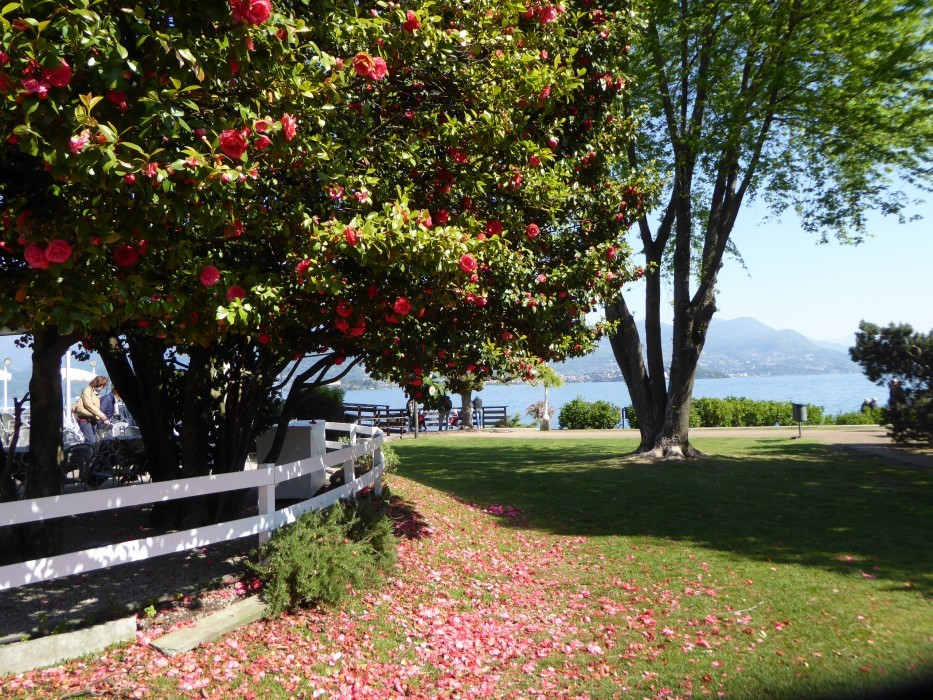 Lago Maggiore Stresa