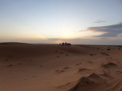 20190916_070419