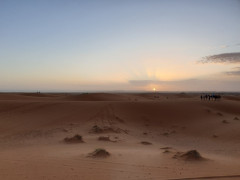 20190916_070657