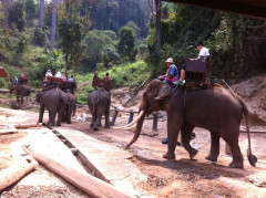 Mae Rim