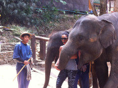 Mae Rim