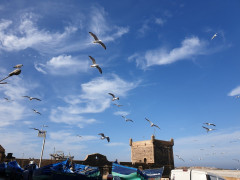 20190920_095421