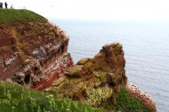 Helgoland 2014, Klippenrandweg, Lummenfelsen