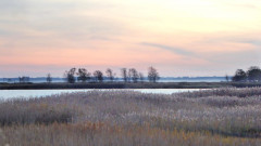 leer
