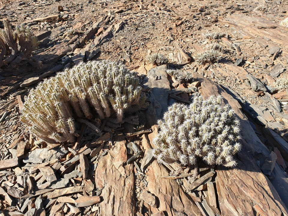 20190922_100830