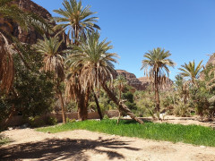 20190922_115358