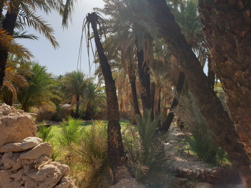 20190923_101917