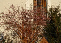 Winterschneeball in Bruckmühl