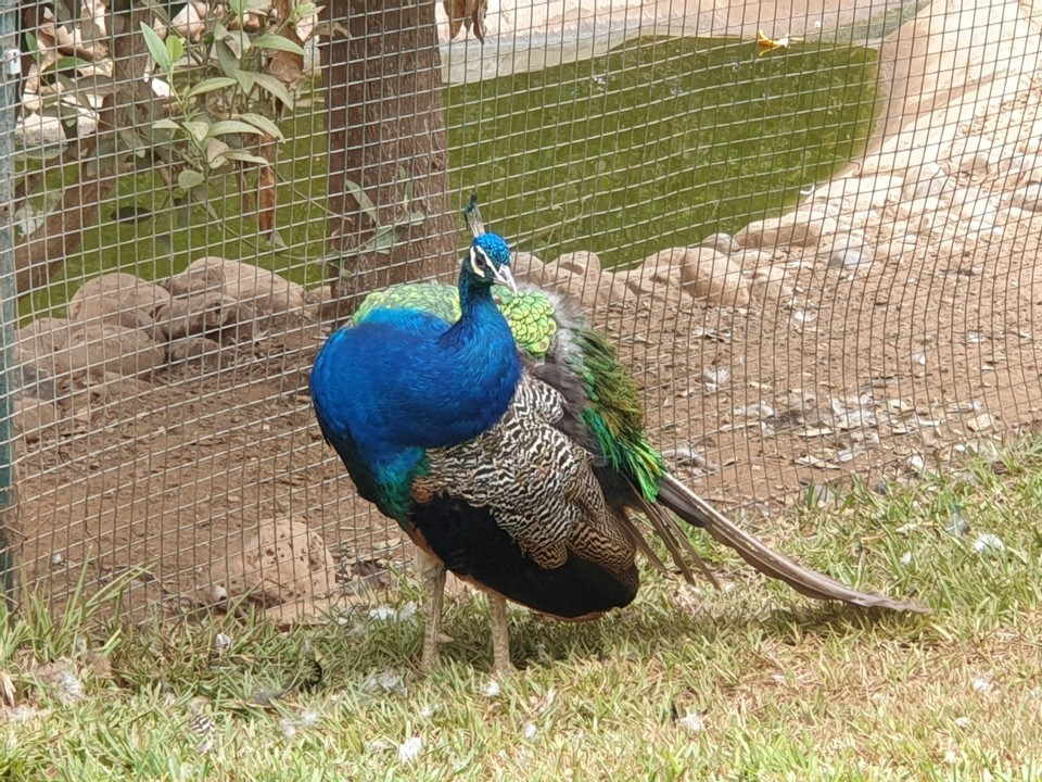 20190924_121814