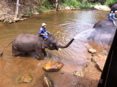 Mae Rim