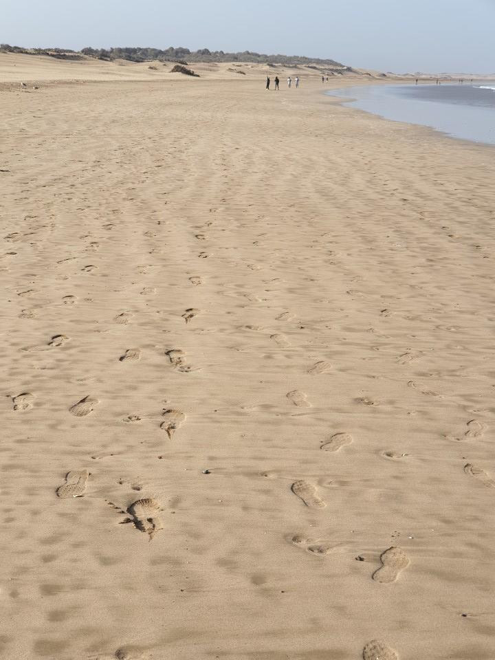 20190925_093043