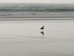 20190925_165417