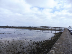 Roscoff