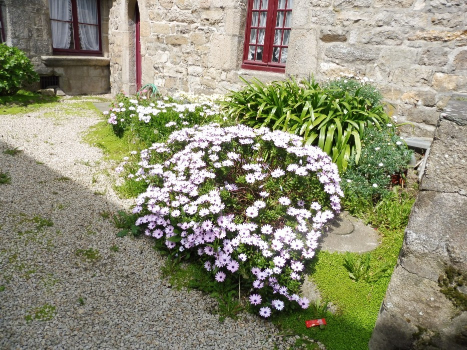 Roscoff
