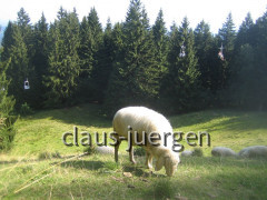 Hörnle Wanderung
