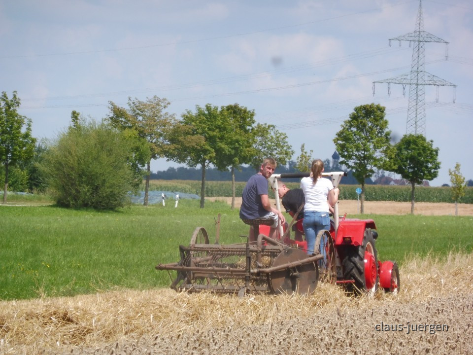 Dreschen 08.2019 LA (6)