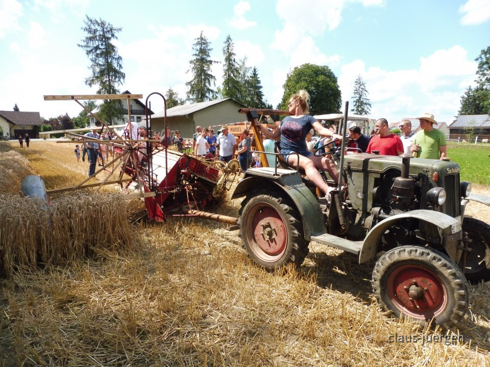 Dreschen 08.2019 LA (11)