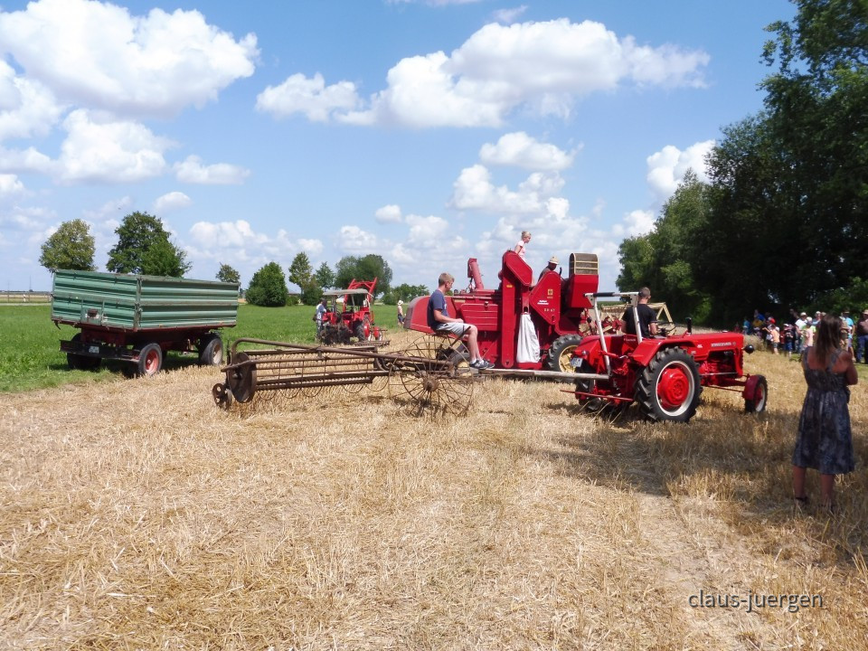 Dreschen 08.2019 LA (39)