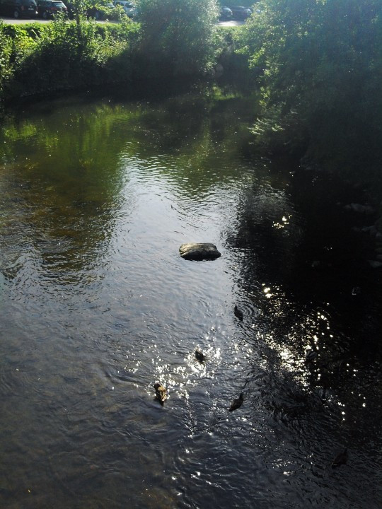 12 Gerolstein Kyll-Park