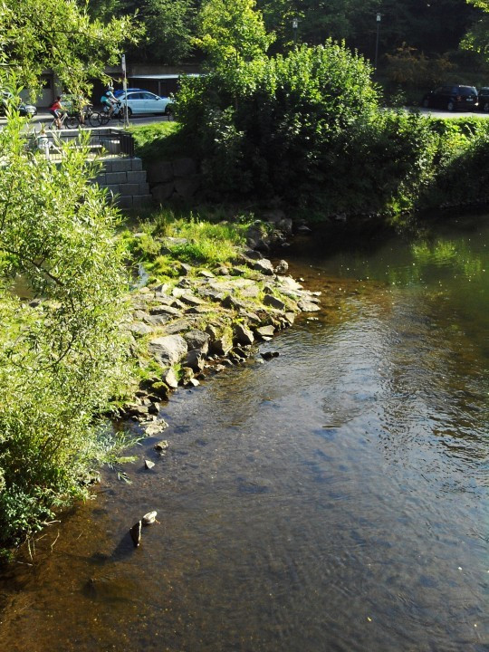 14 Gerolstein Kyll-Park