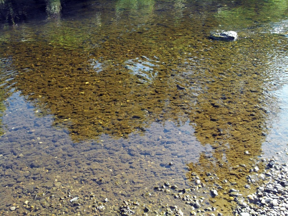 18 Gerolstein Kyll-Park