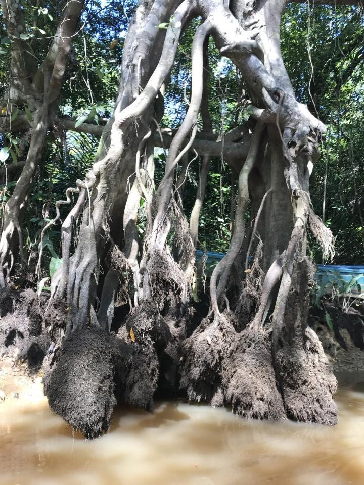 ?random=0&maxWidth=0&embedded=0&thumbnail=large