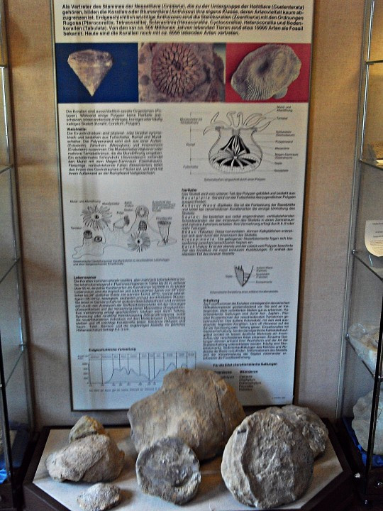 08 Gerolstein Naturkundemuseum