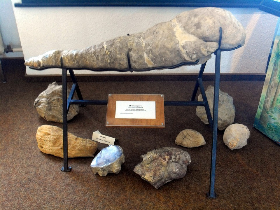 11 Gerolstein Naturkundemuseum