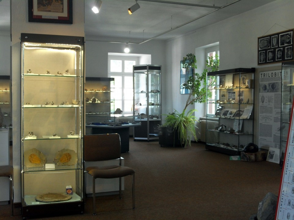 14 Gerolstein Naturkundemuseum