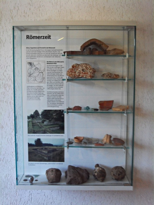 19 Gerolstein Naturkundemuseum