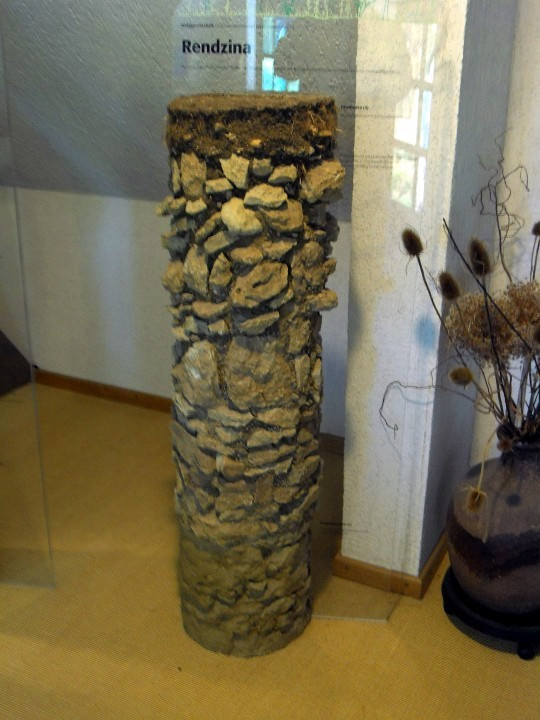 20 Gerolstein Naturkundemuseum