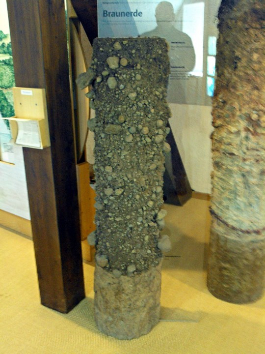 21 Gerolstein Naturkundemuseum