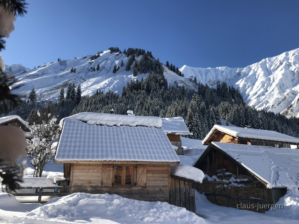 Fallerschein im Winter