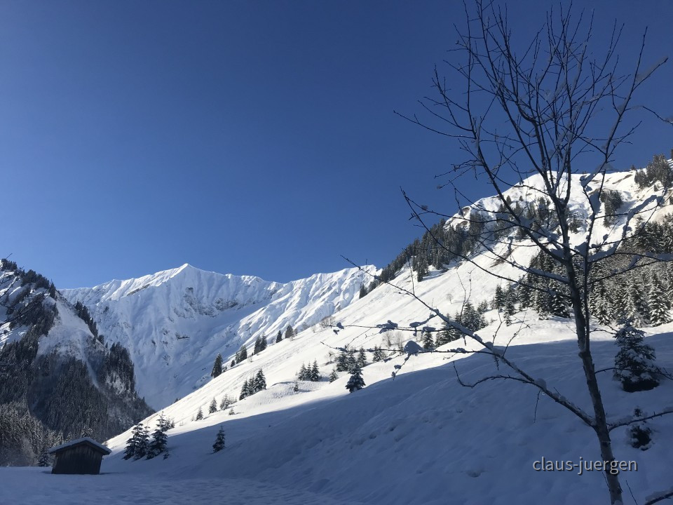 Fallerschein im Winter